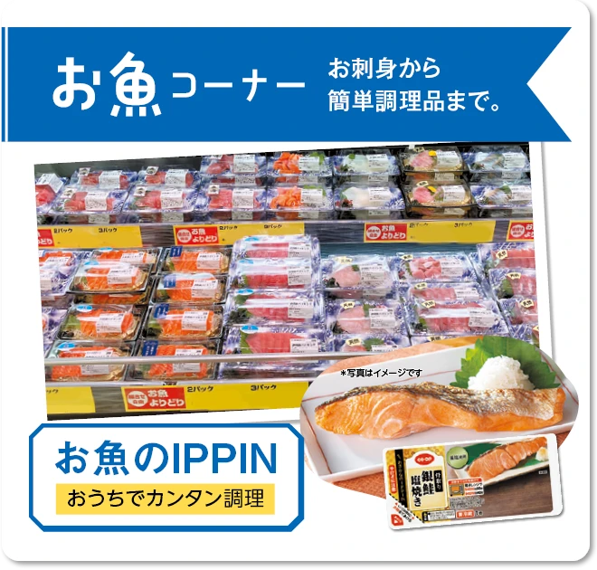 1F お魚コーナー