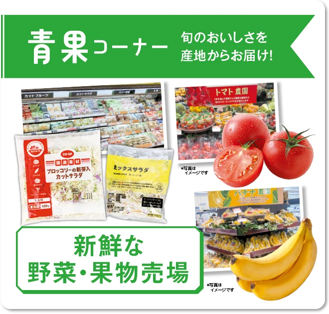 1F 青果コーナー